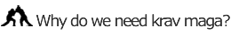 Why do we need krav maga?